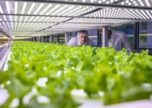 agriculturalstudies 2