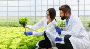 majors genetic engineering