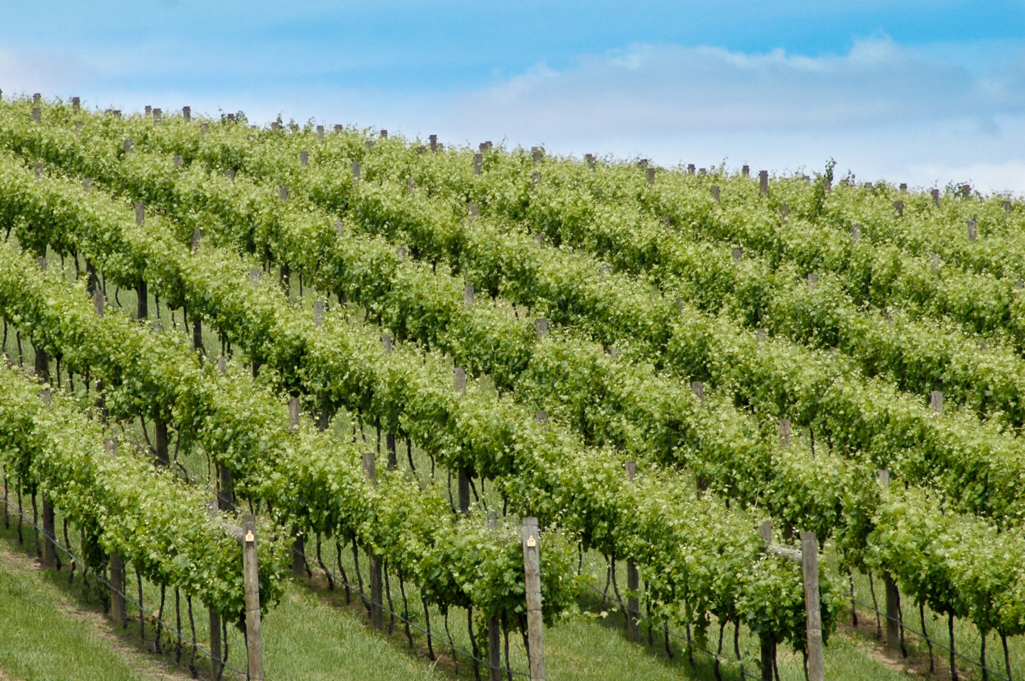 dreamstime l 15260448