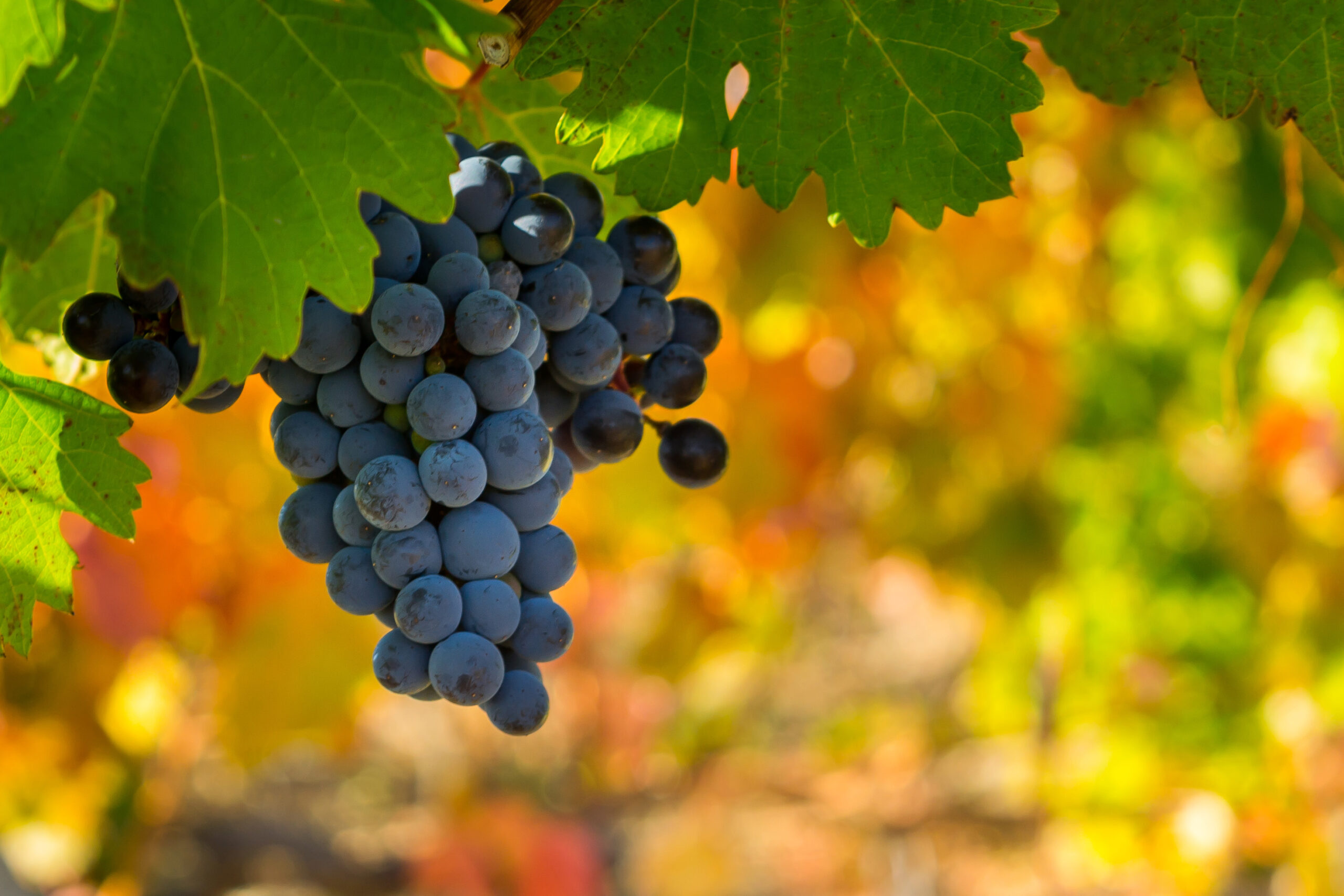 dreamstime l 161816040