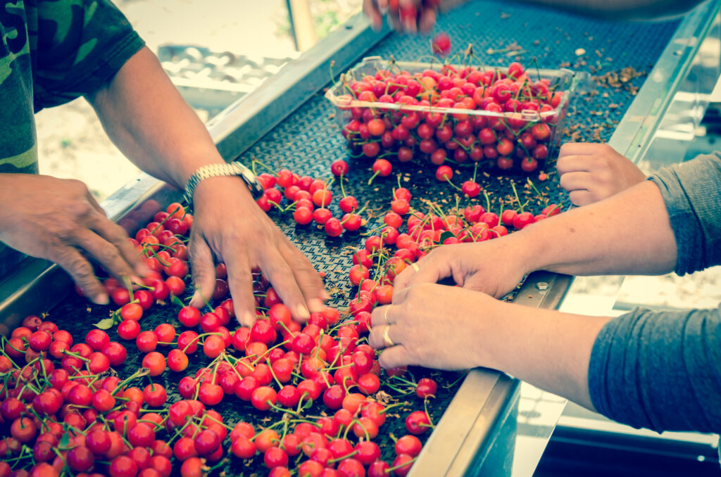 dreamstime l 172103117