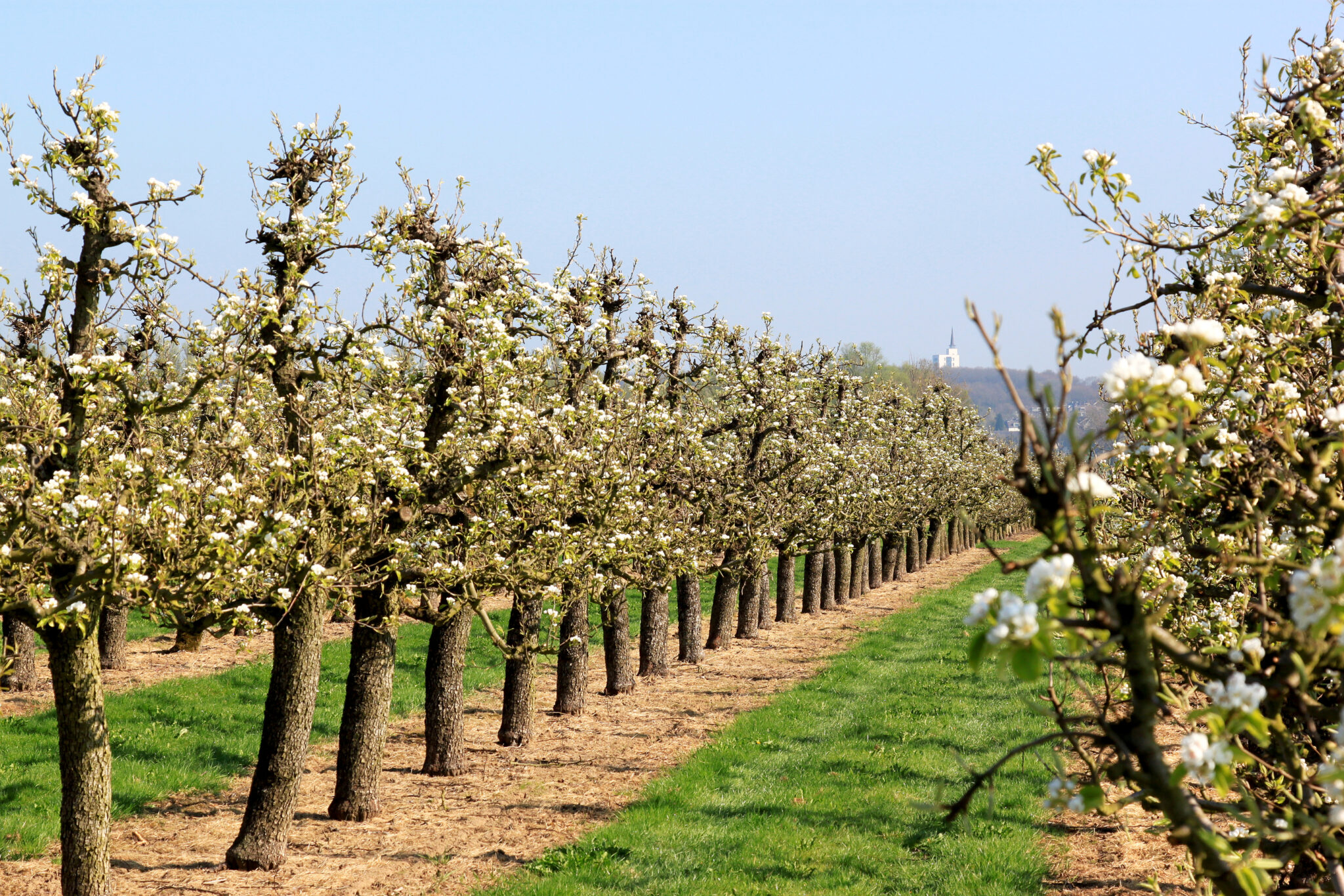 dreamstime l 19218927