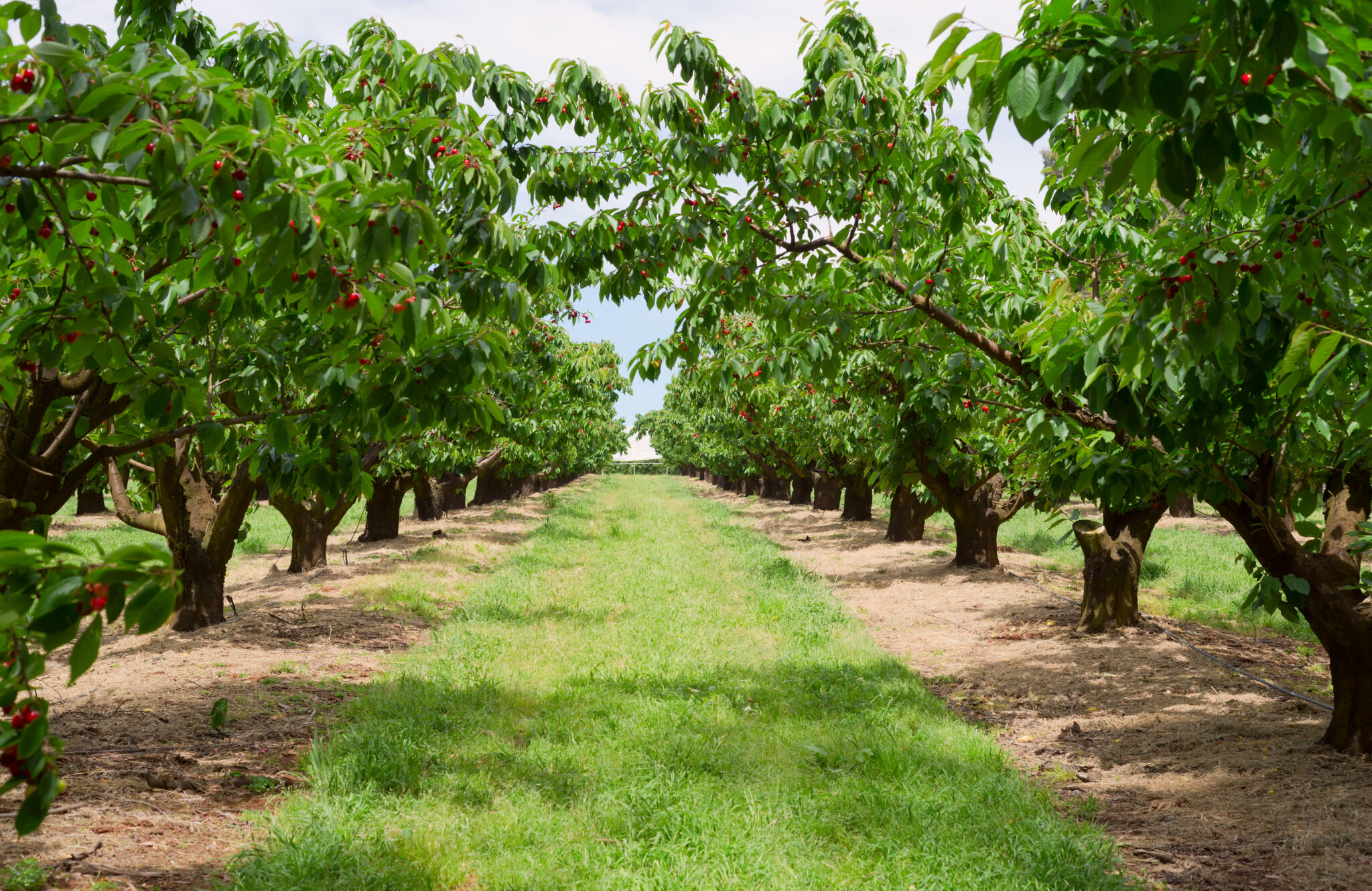 dreamstime l 35389812