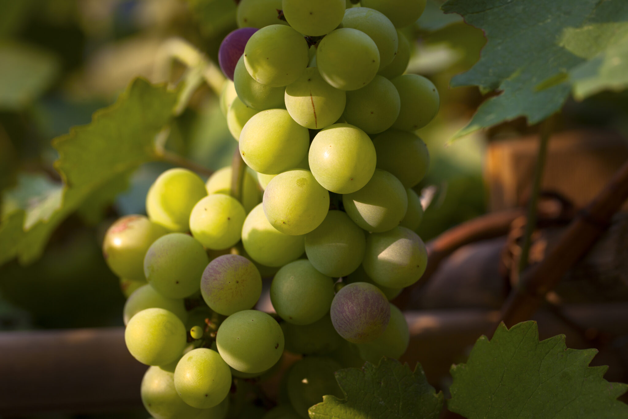 dreamstime l 43129607