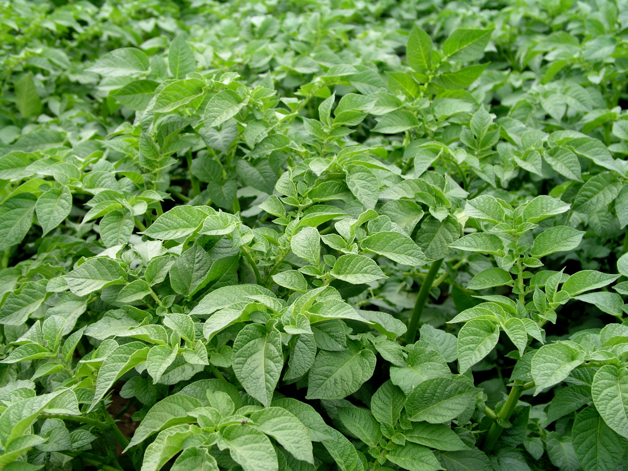 dreamstime l 8490218